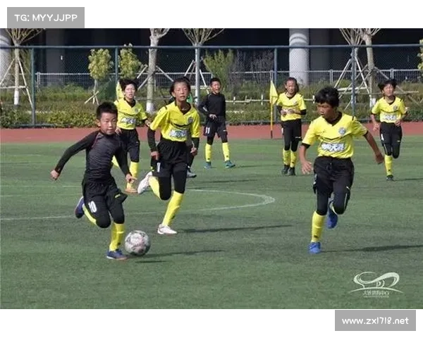 如何提升观看500球队联赛的乐趣探索不同方式让你更加投入与享受比赛